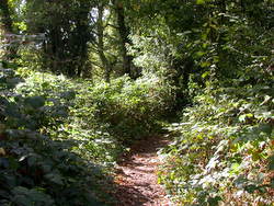 Oct 2013: 7B footpath